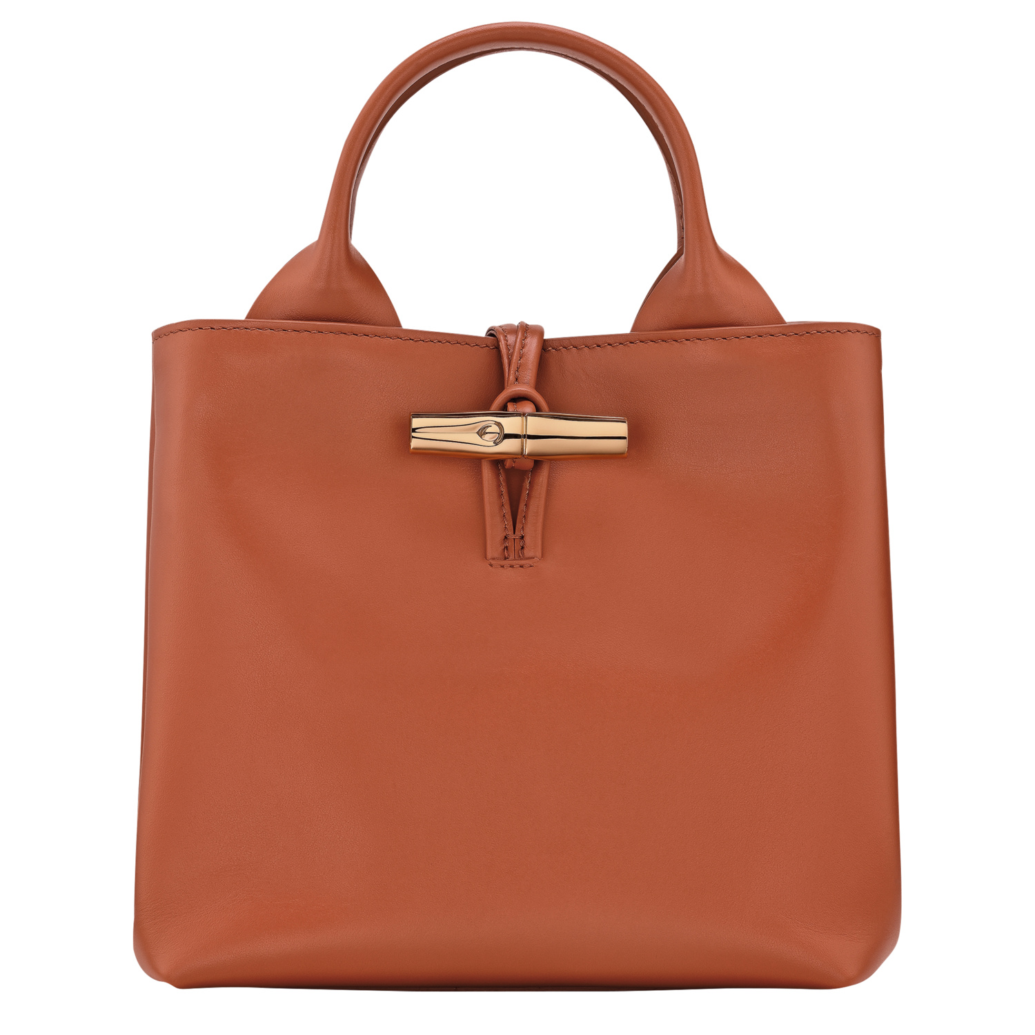 Longchamp Small Le Roseau Tote Bag In Bark