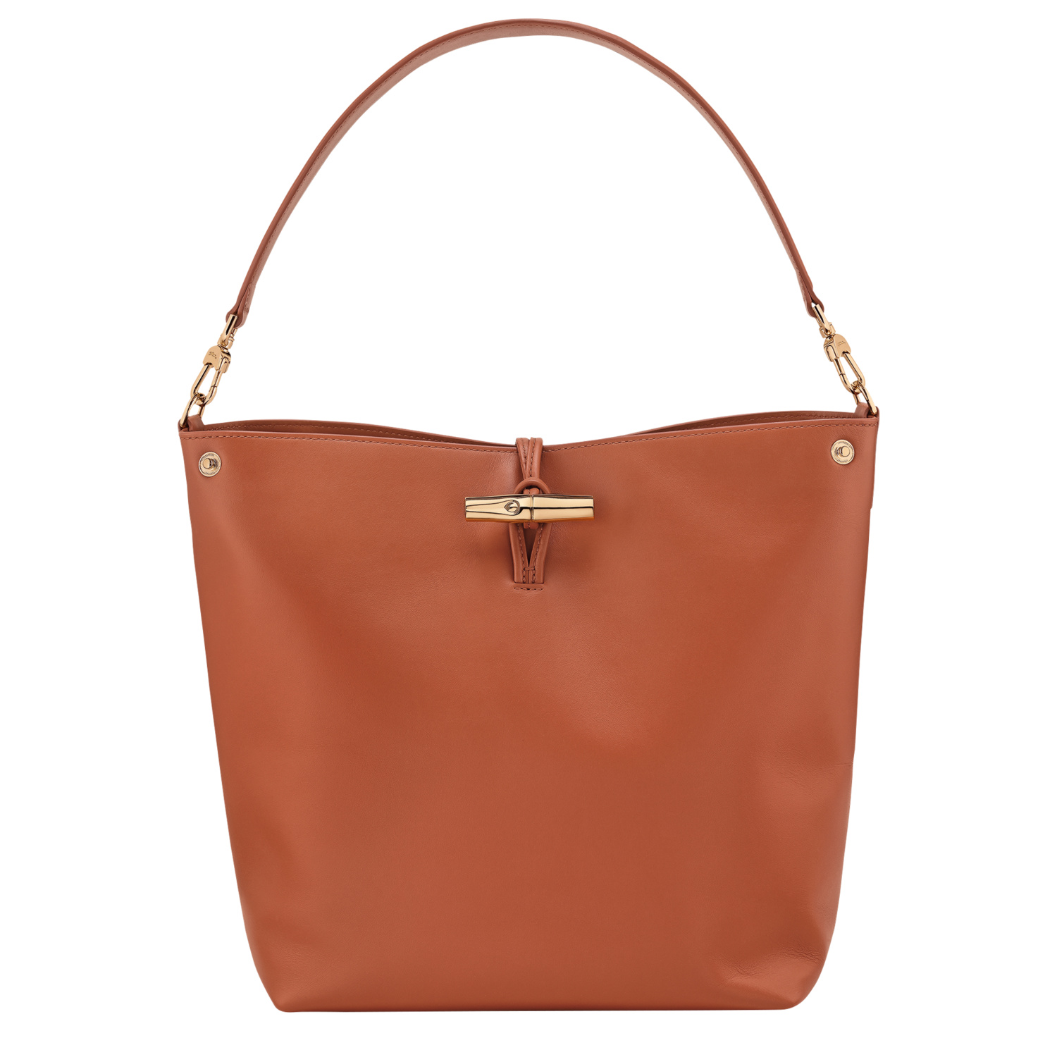 Longchamp Extra Small Le Roseau Leather Bucket Bag In Brown