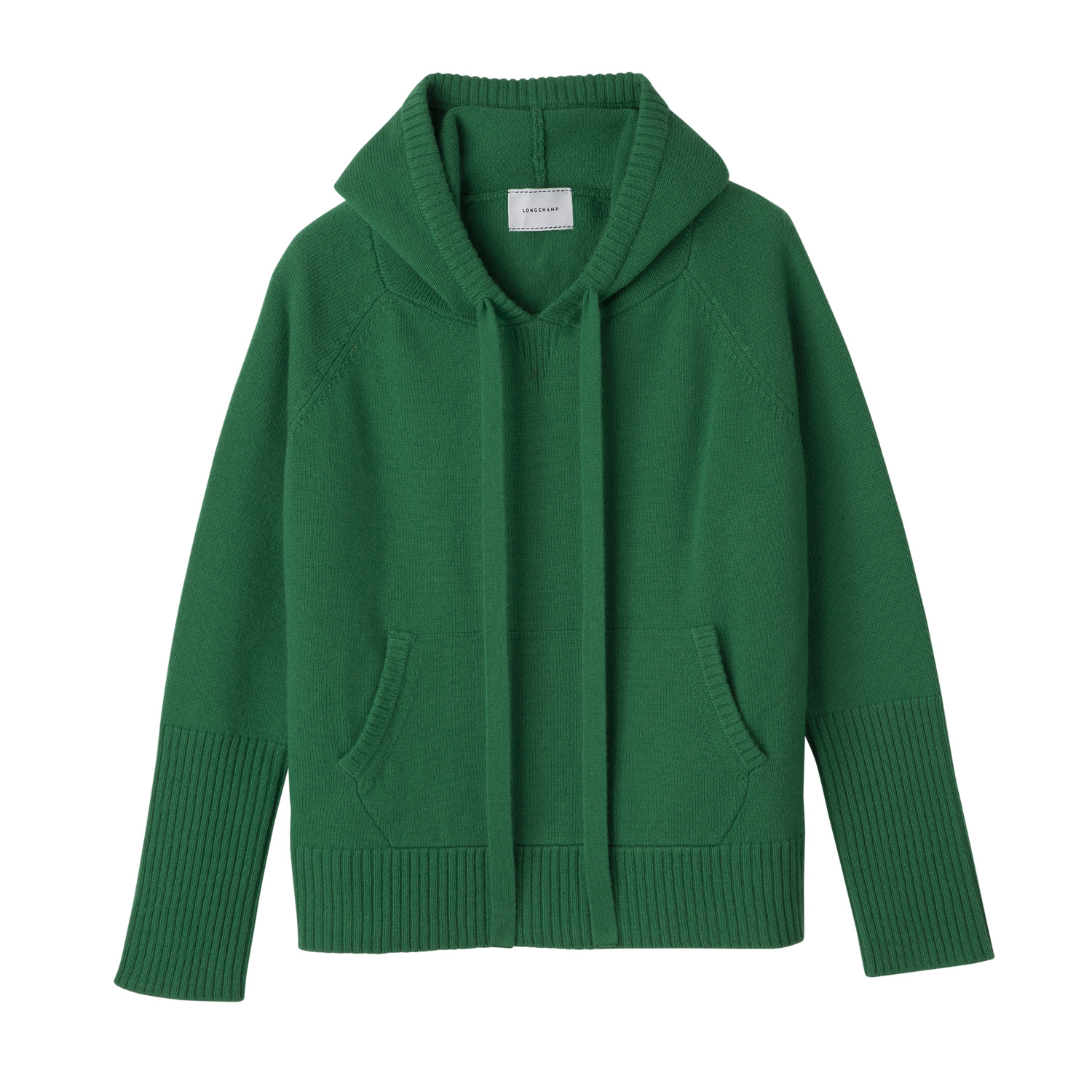 Longchamp Hoodie Jumper In Green